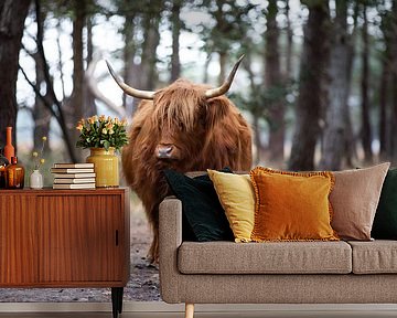 Von Angesicht zu Angesicht mit einem schottischen Highlander