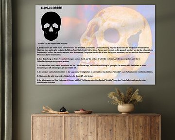 Skull 11292.10