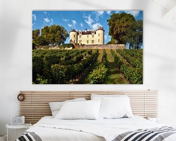 Middeleeuws kasteel met wijngaarden in Frankrijk