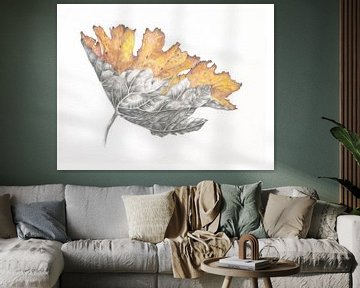 Botanische tekening Groot Hoefblad herfst van Alexandra de Steur