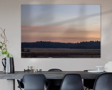 Beautiful sunrise on the moors