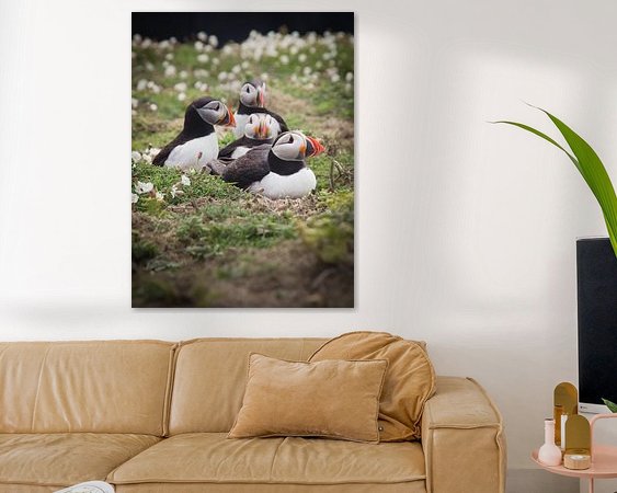 Aperçu de la chambre