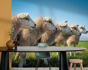 Counting sheep by Caatje Clicks