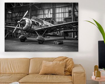Oud vintage propellervliegtuig in een hangar, zwart-wit foto van Animaflora PicsStock