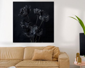 Zwarte tulpen van StudioMaria.nl