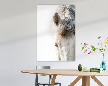 Gefluister van Licht - Een Stilistisch Paardenportret van Femke Ketelaar