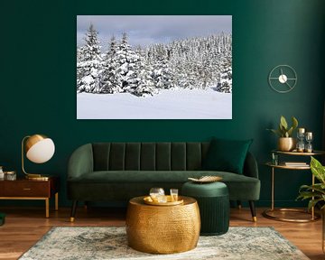 A snowy forest after the storm by Claude Laprise
