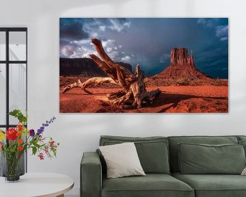 Monument Valley van Photo Wall Decoration