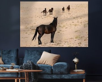 Woestijnpaarden van Namibië van Chihong