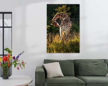 Giraffe in de mooie natuur van Afrika van Chihong