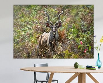 Majesteuse Kudu ( koedoe ) in de bossen van Afrika van Chihong