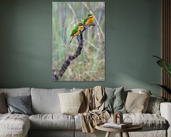 Aperçu de la chambre