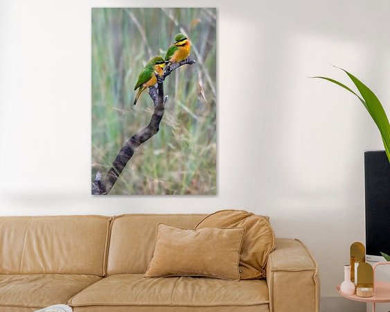 Aperçu de la chambre