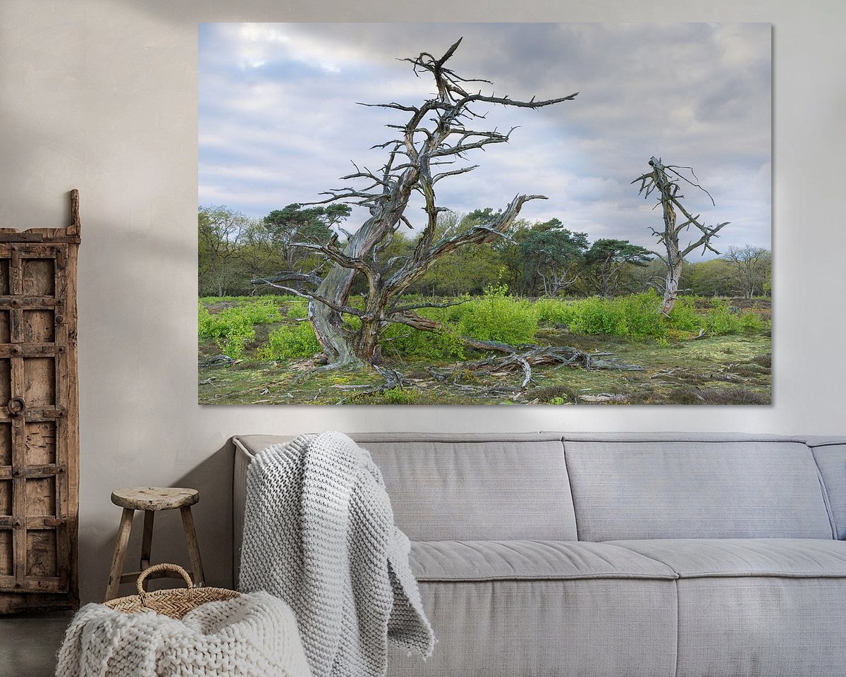 Raumvorschau