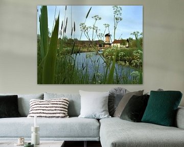 Kilsdonkse molen aan de Aa van Mieke van Helvoirt