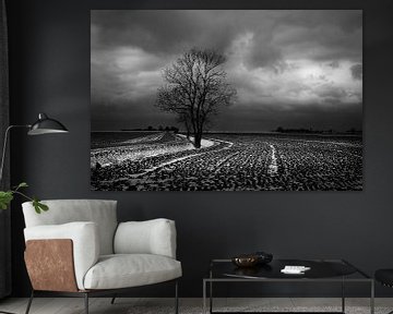 Noordpolder 4 in zwart wit van Bo Scheeringa Photography