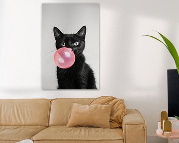 Zwarte kat blaast roze kauwgombel op lichte achtergrond van Felix Brönnimann