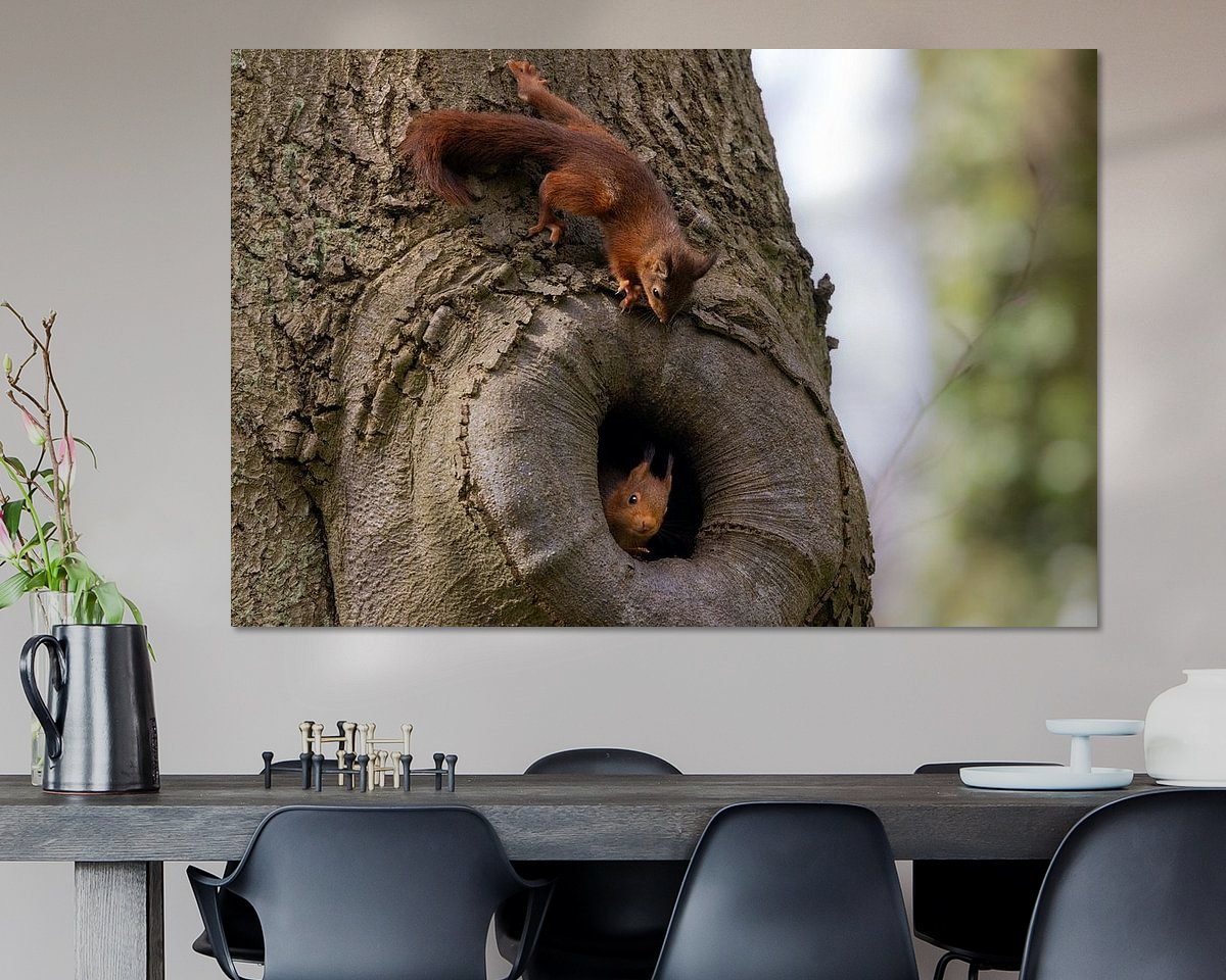Voorbeeld van het werk in een kamer