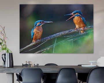 Kingfisher - Love at the riverside by Kingfisher.photo - Corné van Oosterhout