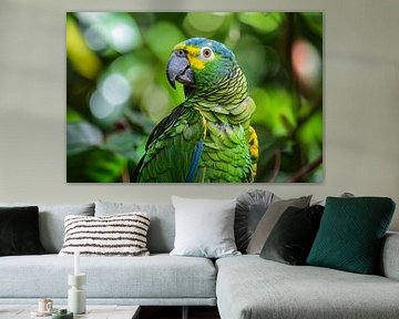 Betoverende blik van een kleurrijke papegaai van De Muurdecoratie