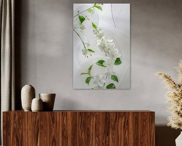 Jasmijnjuweel - Delicaat bloemenkunstwerk voor een aromatische inrichting van Poster Art Shop