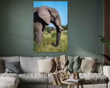 Close-up van een olifant in de natuur van Afrika van Chihong