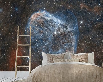 Beautiful nebula in space by André van der Hoeven