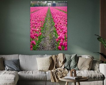 Roze tulpen van Martijn Tilroe