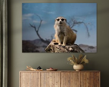 Een close-up portret van een alerte stokstaartje, Suricata suricatta van W J Kok