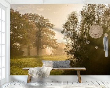 Misty forest along the river IJssel during autumn by Sjoerd van der Wal Photography