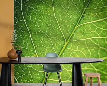 Leaf of the tree by Jan