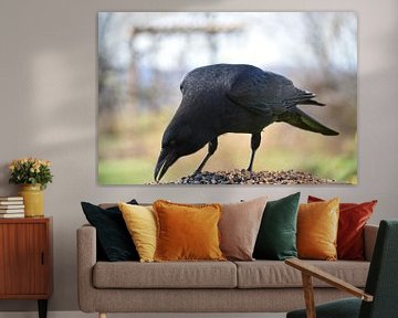 A crow at the feeder by Claude Laprise