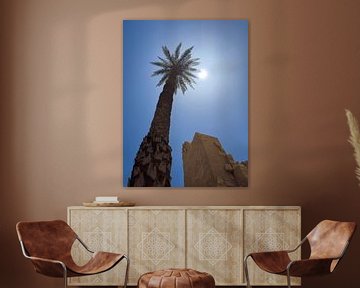Palmboom en tempel in Egypte van Jeroen Berendse
