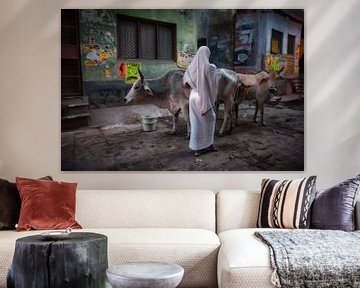 Woman herds two cows in the slum of Varanasi India. Wout Kok One2expose by Wout Kok