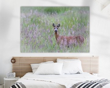 roe deer in a summer meadow by Ria van den Broeke
