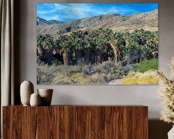 Palmbomen bij Indian Canyons van Joseph S Giacalone Photography