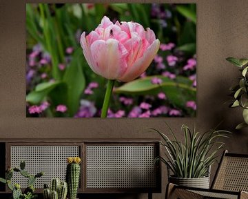 Een roze tulp met een vleugje op zijn...  van Corine Dekker
