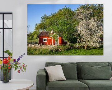 Rode hut met bloeiende appelboom van Daniela Beyer