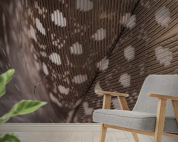 Feather (diagonal) with down from a guinea fowl by Marjolijn van den Berg