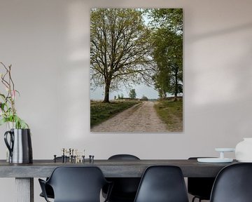 Pad tussen bomen in een open rustig veld in Nederland van Peter Bruijn