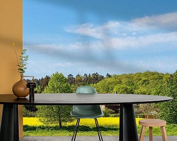 Koolzaadveld met bomen en weiland bij Parkentin van Rico Ködder