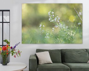 Spring feeling in the dream light. by Robby's fotografie