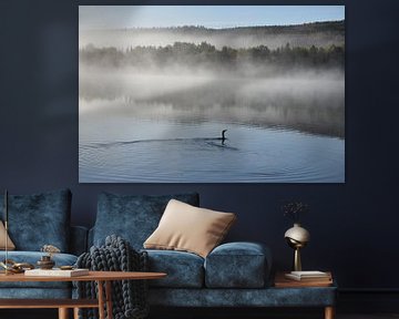 A cormorant on the lake in autumn by Claude Laprise