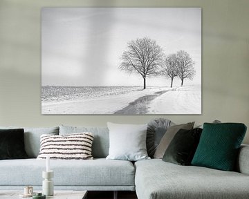 Eenzaamheid op de weg  in de winter foto | Kerst sneeuw Zwart-witte veld bomen | natuurfotografie Kunst Kerstmis nieuwjaar platanen van An Rogier