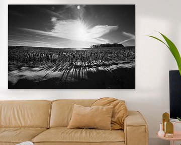 Winterse uitstraling van een veld | Zwart-wit retro landbouwprint | wolken schaduwweide Flanders Fields | natuurfotografie Kunst