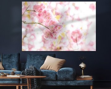 roze bloesem in kleur fotoprint | bloemen kersen lente