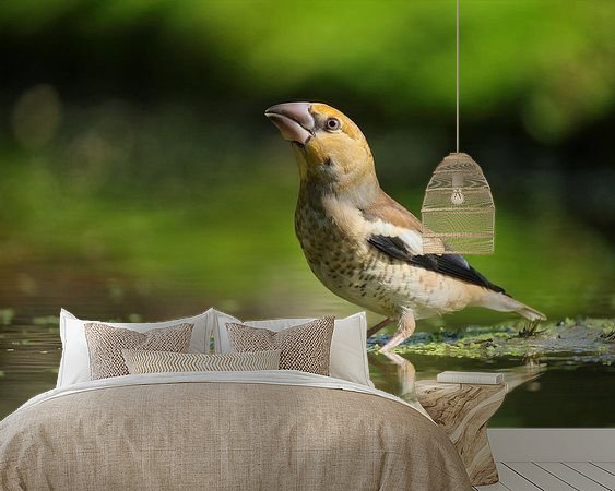 Aperçu de la chambre