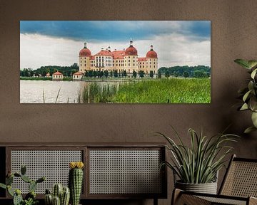 Moritzburg Castle, Saxony by Gunter Kirsch
