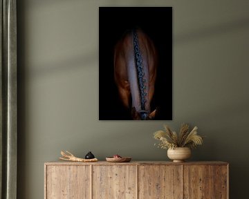 Elegant horse by Lisa Hollak
