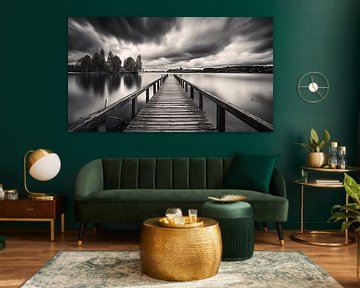 Ligplaats op een meer in een zwart-wit achtergrond wallpaper van Animaflora PicsStock